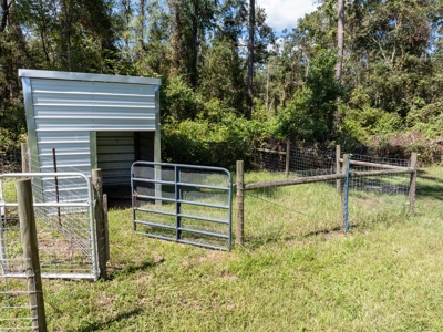 Sustainable Mini Farm In North Florida - image 24