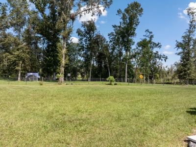 Sustainable Mini Farm In North Florida - image 16