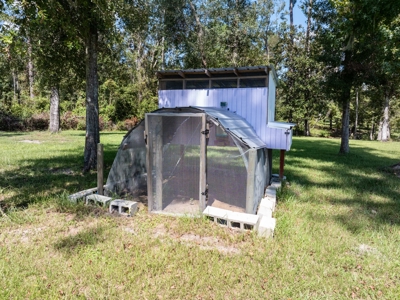 Sustainable Mini Farm In North Florida - image 23