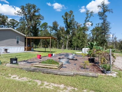 Sustainable Mini Farm In North Florida - image 19