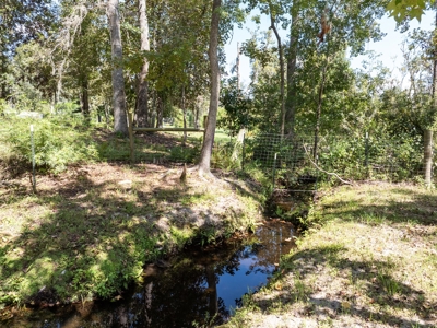 Sustainable Mini Farm In North Florida - image 25