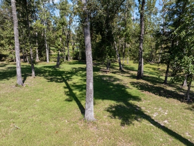 Sustainable Mini Farm In North Florida - image 26