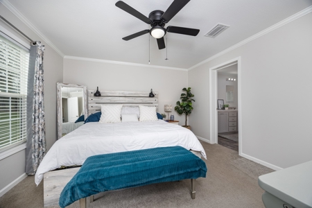 Sustainable Mini Farm In North Florida - image 10