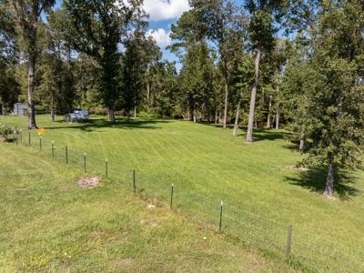 Sustainable Mini Farm In North Florida - image 22