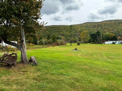 Brick Ranch Home For Sale In Bland County VA - image 24