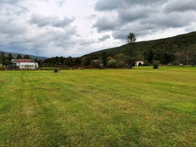 Brick Ranch Home For Sale In Bland County VA - image 29