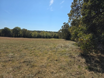 Country Acreage – Homestead Property – Near National Forest - image 5