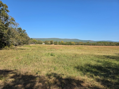 Country Acreage – Homestead Property – Near National Forest - image 9