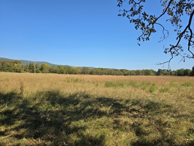 Country Acreage – Homestead Property – Near National Forest - image 8