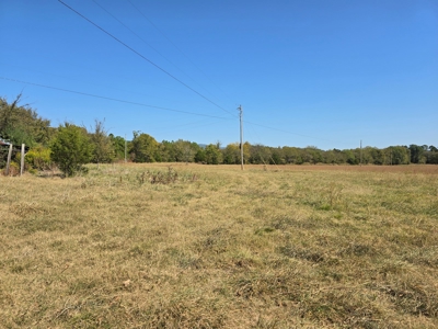 Country Acreage – Homestead Property – Near National Forest - image 3