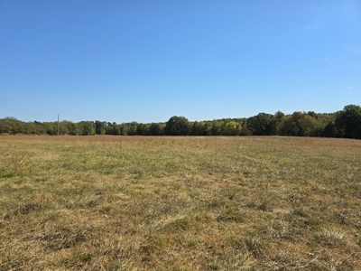 Country Acreage – Homestead Property – Near National Forest - image 6
