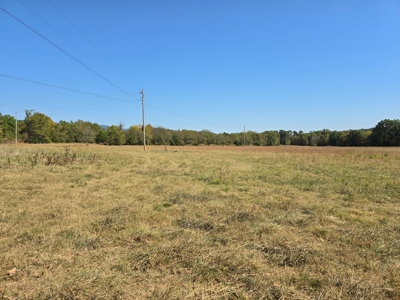 Country Acreage – Homestead Property – Near National Forest - image 4