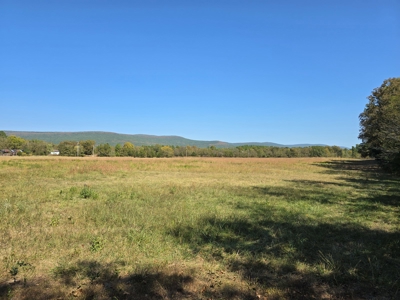 Country Acreage – Homestead Property – Near National Forest - image 10