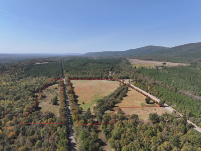 Country Acreage – Homestead Property – Near National Forest - image 1