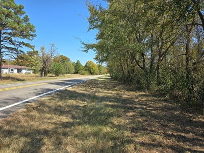 Country Acreage – Homestead Property – Near National Forest - image 13