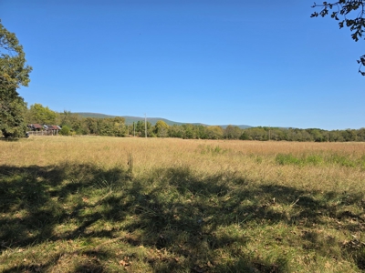 Country Acreage – Homestead Property – Near National Forest - image 7
