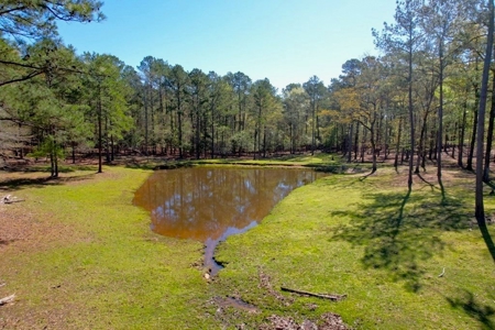 192 Acres of Land with 3 BR Hunting Lodge - image 38