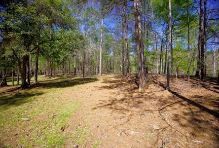 192 Acres of Land with 3 BR Hunting Lodge - image 32