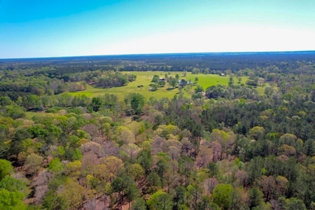 192 Acres of Land with 3 BR Hunting Lodge - image 37