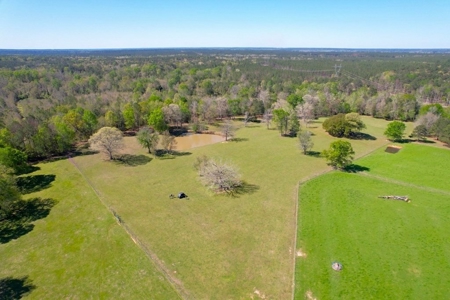 192 Acres of Land with 3 BR Hunting Lodge - image 43