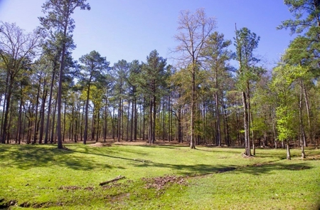 192 Acres of Land with 3 BR Hunting Lodge - image 26