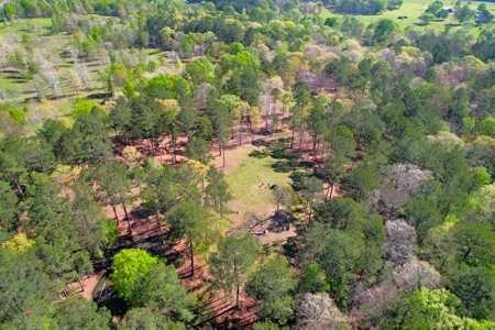 192 Acres of Land with 3 BR Hunting Lodge - image 36