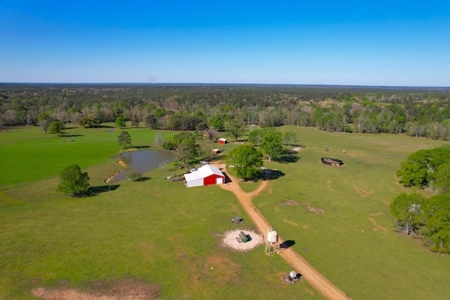 192 Acres of Land with 3 BR Hunting Lodge - image 6