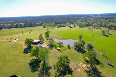 192 Acres of Land with 3 BR Hunting Lodge - image 5