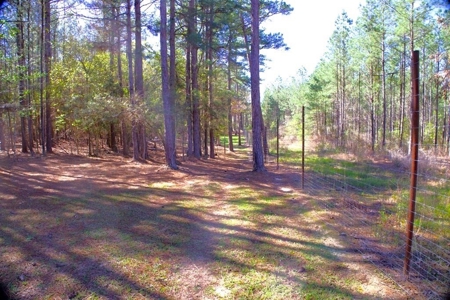 192 Acres of Land with 3 BR Hunting Lodge - image 24