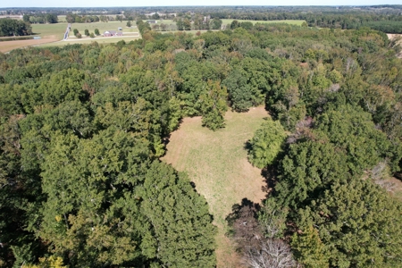 Country Home with Acreage and Inground Pool For Sale in TN - image 41