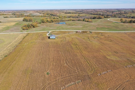 40 ACRES m/l | ALBANY, MO | PASTURE, SHED, POND & BUILDING SITE - image 11