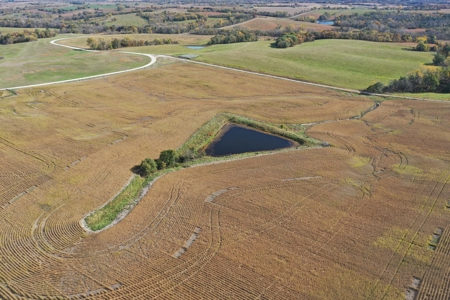 40 ACRES m/l | ALBANY, MO | PASTURE, SHED, POND & BUILDING SITE - image 10