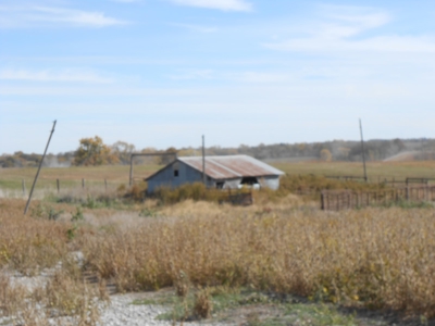 40 ACRES m/l | ALBANY, MO | PASTURE, SHED, POND & BUILDING SITE - image 22