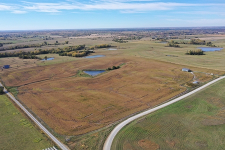 40 ACRES m/l | ALBANY, MO | PASTURE, SHED, POND & BUILDING SITE - image 3