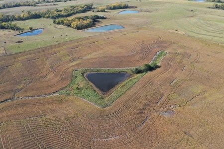 40 ACRES m/l | ALBANY, MO | PASTURE, SHED, POND & BUILDING SITE - image 5