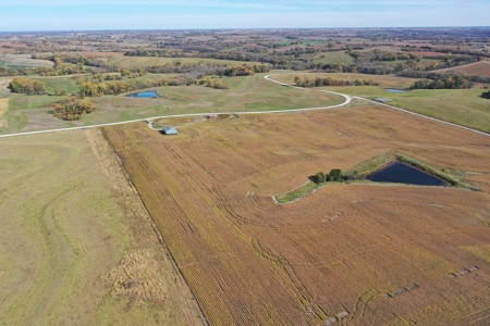 40 ACRES m/l | ALBANY, MO | PASTURE, SHED, POND & BUILDING SITE - image 9
