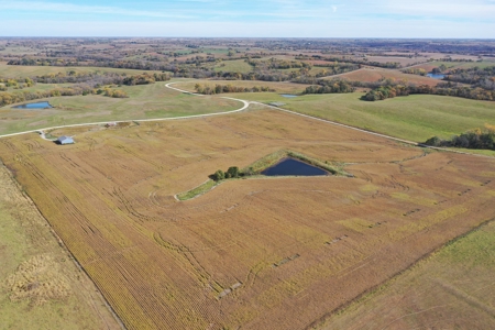 40 ACRES m/l | ALBANY, MO | PASTURE, SHED, POND & BUILDING SITE - image 7