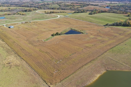 40 ACRES m/l | ALBANY, MO | PASTURE, SHED, POND & BUILDING SITE - image 8