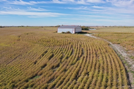40 ACRES m/l | ALBANY, MO | PASTURE, SHED, POND & BUILDING SITE - image 17