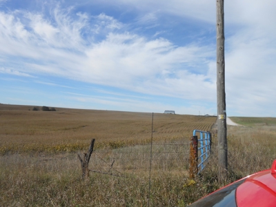 40 ACRES m/l | ALBANY, MO | PASTURE, SHED, POND & BUILDING SITE - image 31