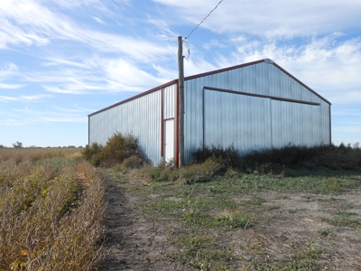 40 ACRES m/l | ALBANY, MO | PASTURE, SHED, POND & BUILDING SITE - image 24