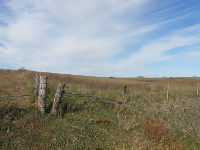 40 ACRES m/l | ALBANY, MO | PASTURE, SHED, POND & BUILDING SITE - image 34