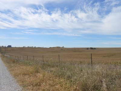 40 ACRES m/l | ALBANY, MO | PASTURE, SHED, POND & BUILDING SITE - image 33