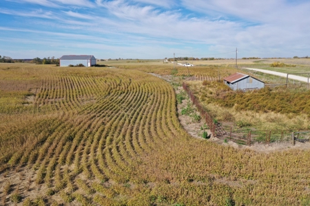 40 ACRES m/l | ALBANY, MO | PASTURE, SHED, POND & BUILDING SITE - image 16