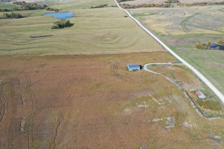 40 ACRES m/l | ALBANY, MO | PASTURE, SHED, POND & BUILDING SITE - image 6
