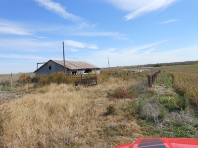 40 ACRES m/l | ALBANY, MO | PASTURE, SHED, POND & BUILDING SITE - image 30