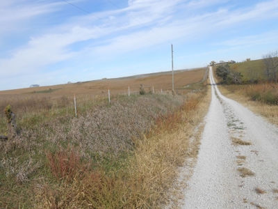 40 ACRES m/l | ALBANY, MO | PASTURE, SHED, POND & BUILDING SITE - image 35