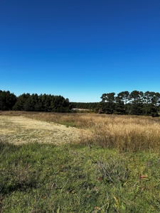 3+/- Acres For Sale with RV Cover Included near Quitman, AR - image 1
