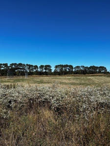 3+/- Acres For Sale with RV Cover Included near Quitman, AR - image 7