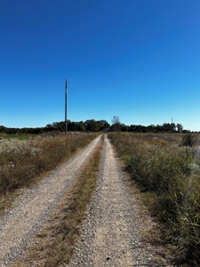 3+/- Acres For Sale with RV Cover Included near Quitman, AR - image 6